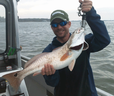 Click to Enlarge Photo