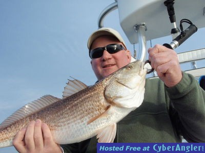 Click to Enlarge Photo