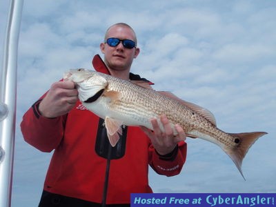 Click to Enlarge Photo