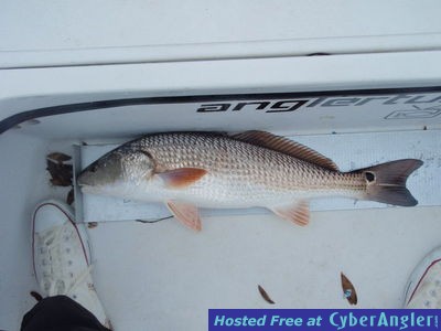 Click to Enlarge Photo