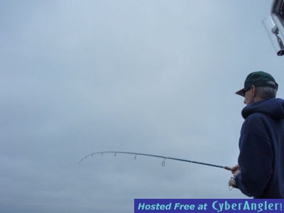 Click to Enlarge Photo