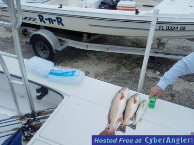 Click to Enlarge Photo