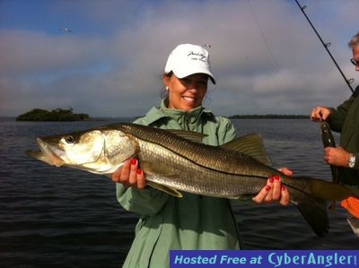 Click to Enlarge Photo