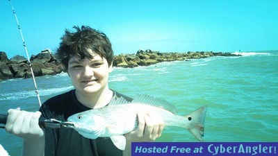 Click to Enlarge Photo