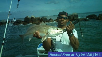 Click to Enlarge Photo