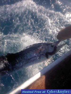 Click to Enlarge Photo