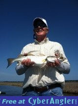 Click to Enlarge Photo