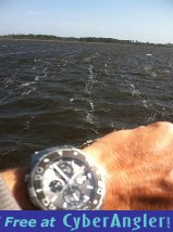 Click to Enlarge Photo