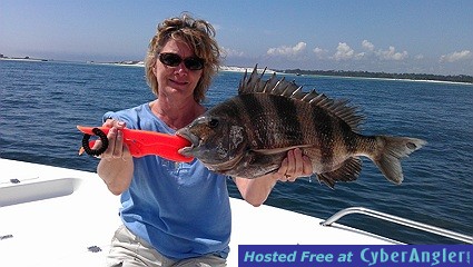 Click to Enlarge Photo