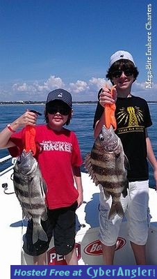 Click to Enlarge Photo