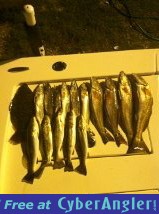 Click to Enlarge Photo