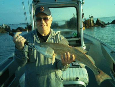 Click to Enlarge Photo