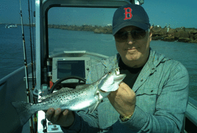 Click to Enlarge Photo