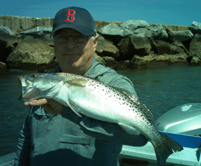 Click to Enlarge Photo