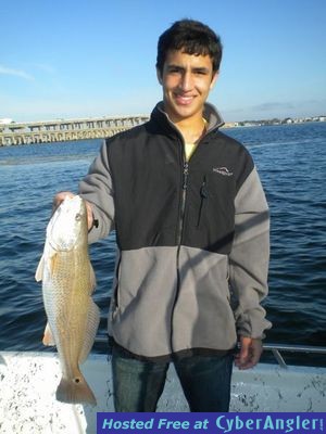 Click to Enlarge Photo