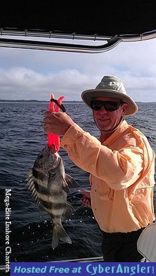 Click to Enlarge Photo