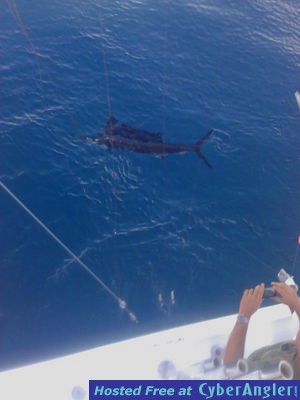 Click to Enlarge Photo