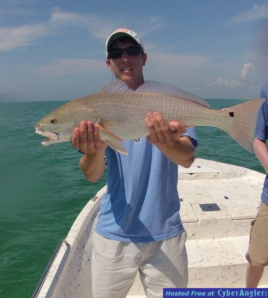 Click to Enlarge Photo