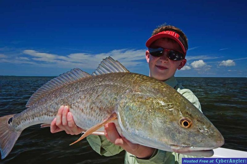 Click to Enlarge Photo