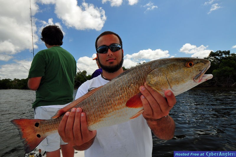 Click to Enlarge Photo