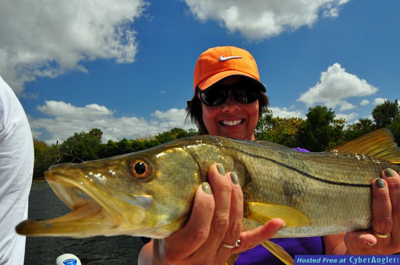 Click to Enlarge Photo