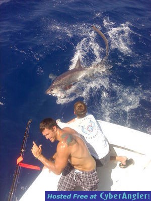 Click to Enlarge Photo