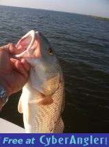 Click to Enlarge Photo