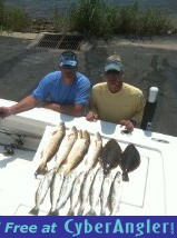 Click to Enlarge Photo