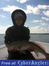 Click to Enlarge Photo