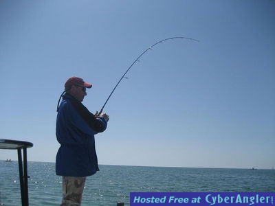 Click to Enlarge Photo