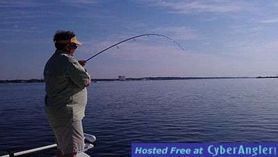 Click to Enlarge Photo