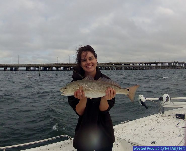 Click to Enlarge Photo