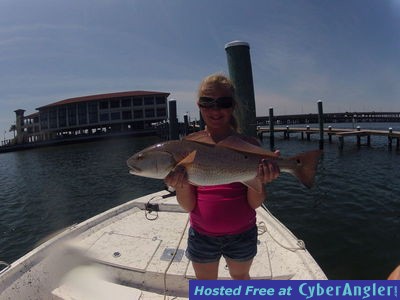 Click to Enlarge Photo