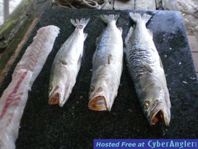 Click to Enlarge Photo