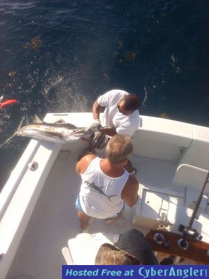 Click to Enlarge Photo