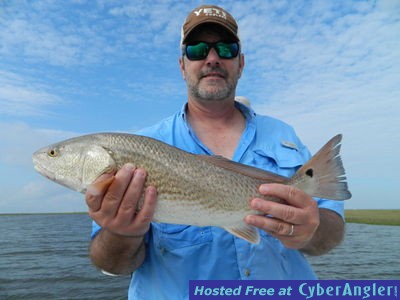 Click to Enlarge Photo