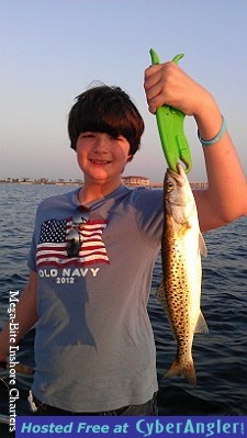 Click to Enlarge Photo