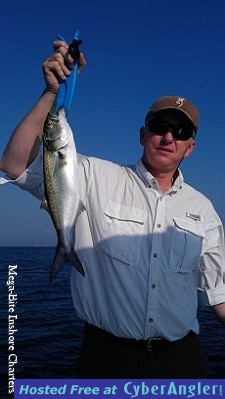 Click to Enlarge Photo