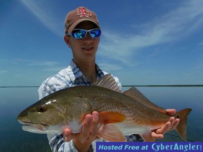 Click to Enlarge Photo