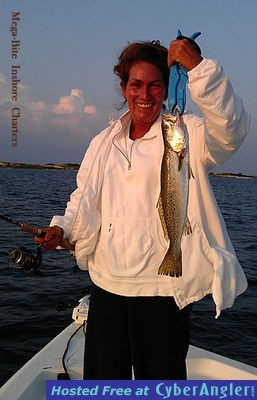 Click to Enlarge Photo