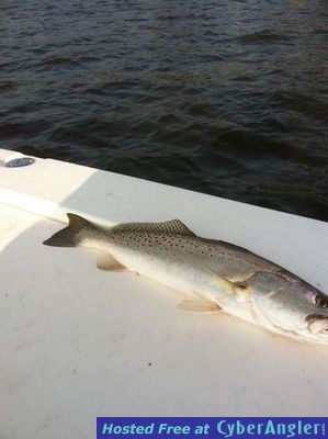 Click to Enlarge Photo