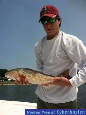 Click to Enlarge Photo