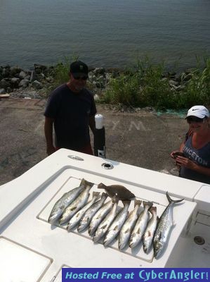 Click to Enlarge Photo