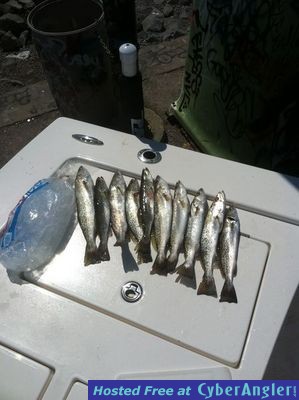 Click to Enlarge Photo