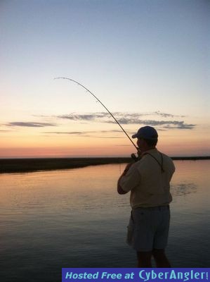 Click to Enlarge Photo