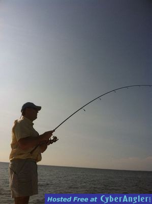 Click to Enlarge Photo