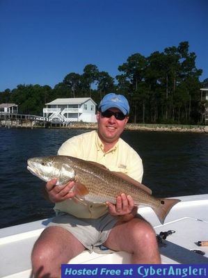 Click to Enlarge Photo