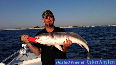 Click to Enlarge Photo