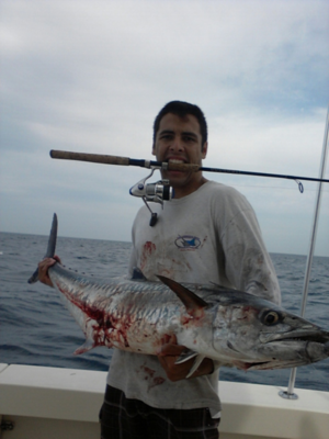 Click to Enlarge Photo