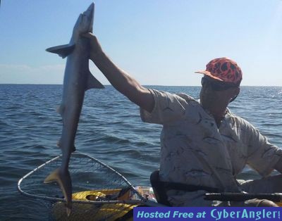 Click to Enlarge Photo